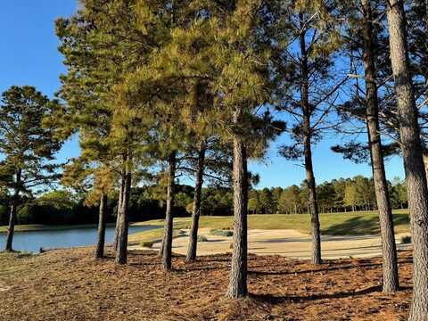 116 GOLDEN BEAR CIRCLE, CAPE CHARLES, VA 23310