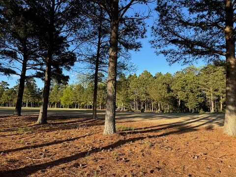 104 GOLDEN BEAR CIRCLE, CAPE CHARLES, VA 23310