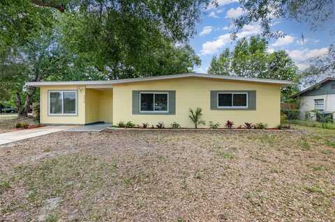 3972 POINSETTIA AVENUE, MOUNT DORA, FL 32757