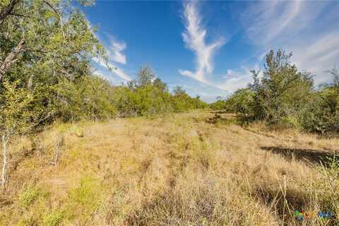 1888 N Fm 108, Smiley, TX 78159