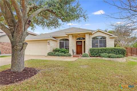 14516 Wharton Park Trail, Austin, TX 78717
