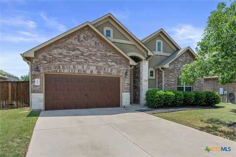 204 Brantley Lake Lane, Georgetown, TX 78628