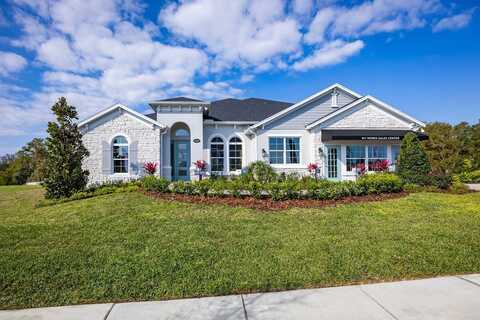 3126 Wolf Lake Avenue, Apopka, FL 32712