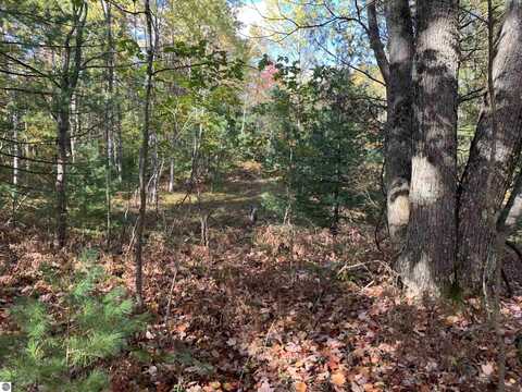 VL Forest Drive, Cadillac, MI 49601