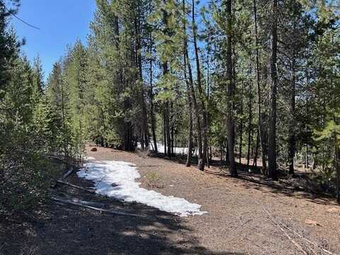 33 Emerald Meadows Way, Crescent Lake, OR 97733
