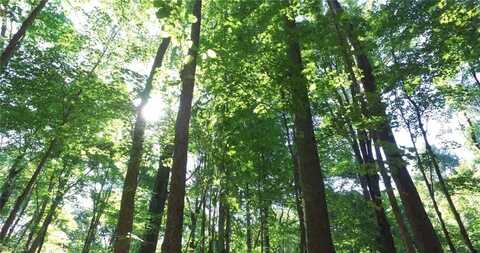 00 Lasater Road, Clemmons, NC 27012