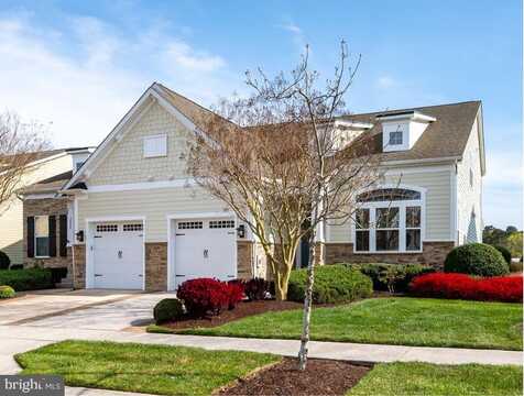 38922 BLUE INDIGO ROAD, SELBYVILLE, DE 19975