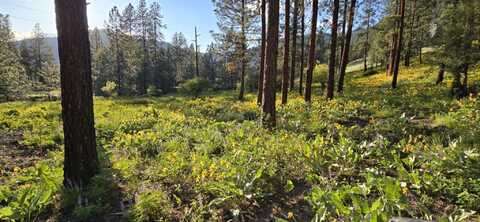 Nhn Profile Rock, Alberton, MT 59820