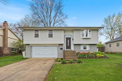 704 Larsen Avenue, Streamwood, IL 60107