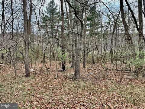 TIMBERLAKE ESTATES - LOT 5, NEW CREEK, WV 26743