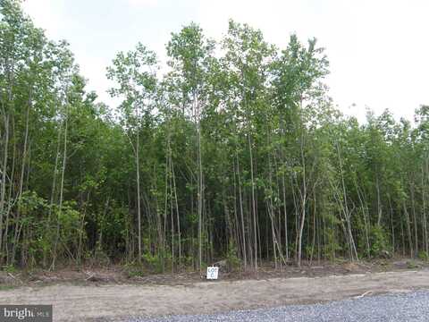 Lot C - 133-9.00-9.18 EASEMENT OFF OF SHORTLY RD, GEORGETOWN, DE 19947