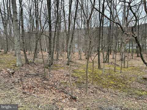 TIMBERLAKE ESTATES - LOT 37, NEW CREEK, WV 26743