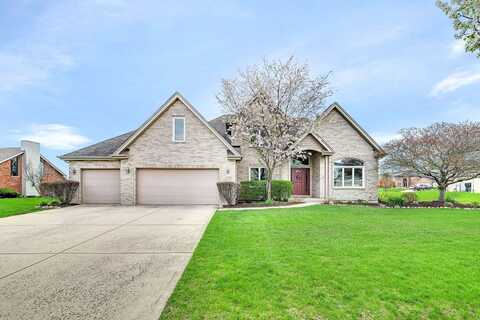 21220 Brittany Drive, Frankfort, IL 60423