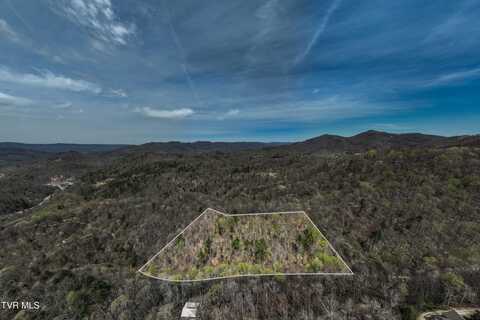 Tbd Culbertson Lane, Mountain City, TN 37683