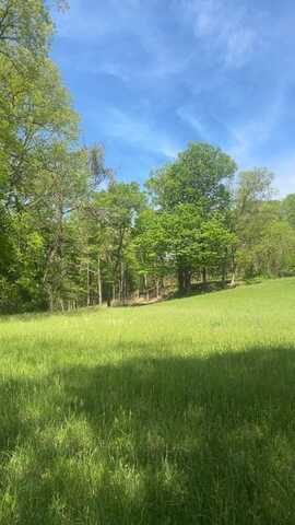 Wolf Hill Rd, BETHPAGE, TN 37022