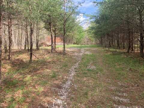 Lot 7 Ridge Top Circle, Spencer, TN 38585