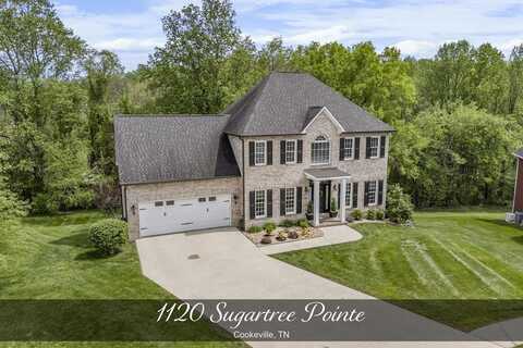 1120 Sugartree Point, ALGOOD, TN 38501