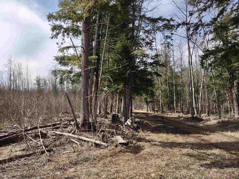 TBD Off Ohman, L'anse, MI 49946