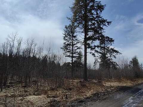 TBD Nelson, L'anse, MI 49946