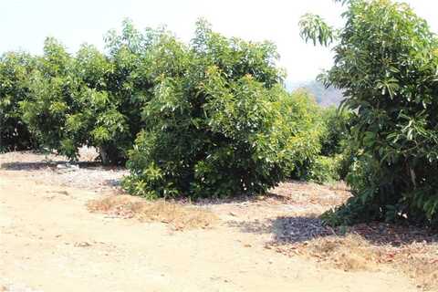 4 Via Vaquero Road, Temecula, CA 92590