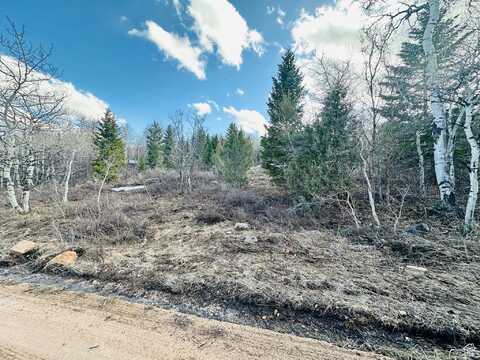 1115 S LAKEVIEW, Garden City, UT 84028