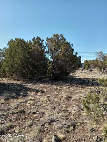 8579 Jackrabbit Drive, Show Low, AZ 85901