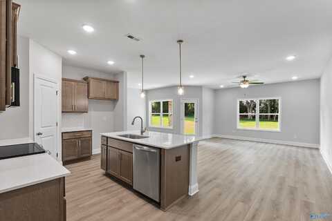 230 Jerrie Lynn Boulevard, Meridianville, AL 35759