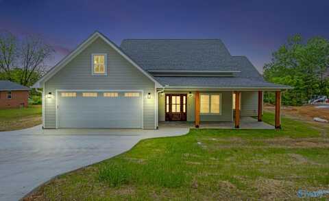 384 Nixon Drive, Guntersville, AL 35976
