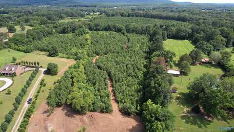1635-a Al Hwy 36, Hartselle, AL 35640