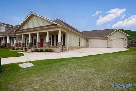 10 Alex Spring Place, Gurley, AL 35748