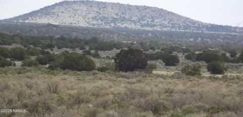 2701 E Leslie Way, Williams, AZ 86046