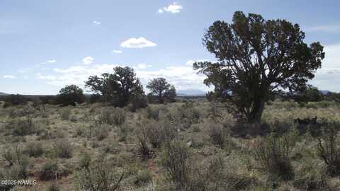 221 S Silver Oaks Drive, Williams, AZ 86046