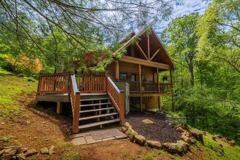 169 Wildwood Court, Ellijay, GA 30540