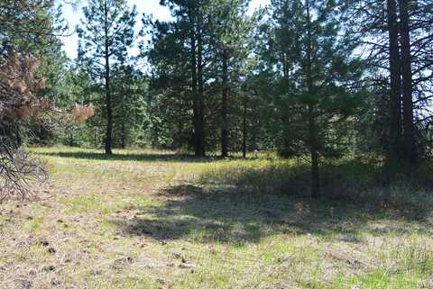 TBD HOAG RD, VALLEY, WA 99181