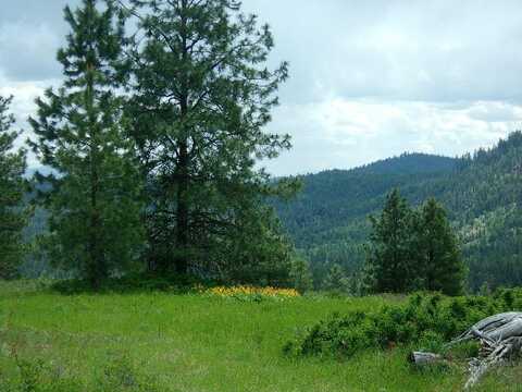 TBD HOAG RD, VALLEY, WA 99181