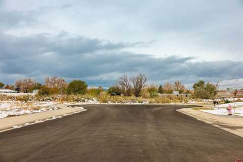 TBD Lot 10 E Star Court, Montrose, CO 81401