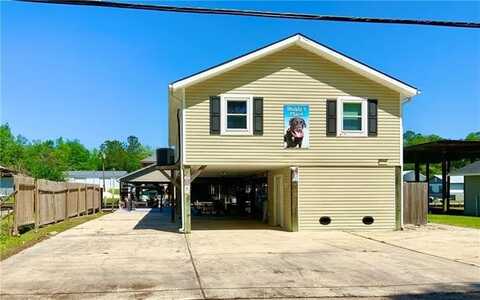 31763 SHELTON Drive, Springfield, LA 70462
