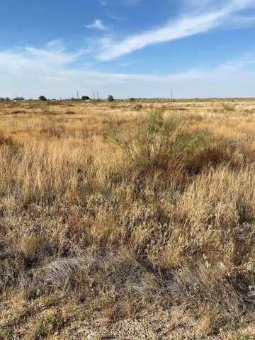 2370 SE 2171, Andrews, TX 79714