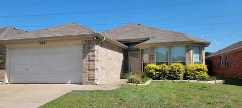 1233 Sierra Blanca Drive, Fort Worth, TX 76028