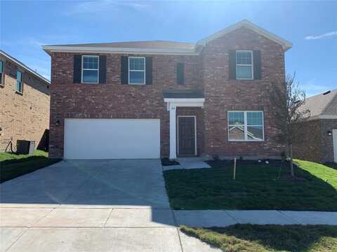 709 Cedar Elm Drive, Anna, TX 75409