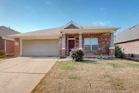1720 Bluebird Drive, Little Elm, TX 75068