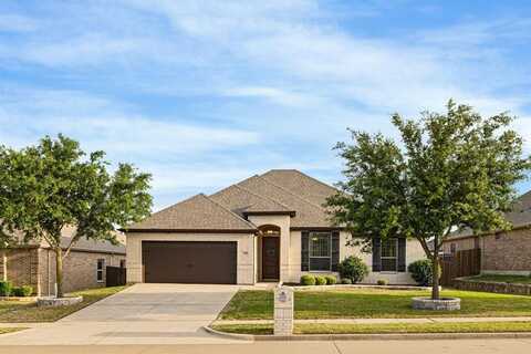 230 Heatherstone Drive, Midlothian, TX 76065