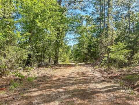 Tbd CR 4814, Ben Wheeler, TX 75754