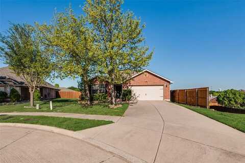 13322 Anita Court, Frisco, TX 75035