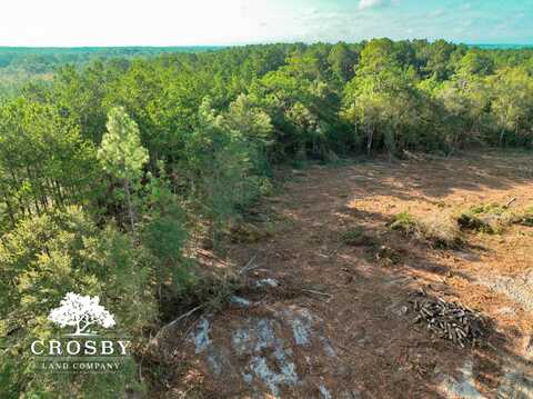 1 McRae Highway, Chauncey, GA 31011