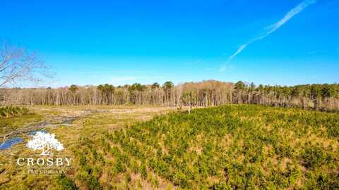 0 Franklin Street, Ludowici, GA 31316
