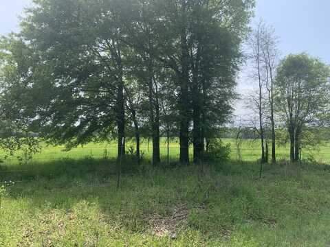 0 Puckett Bend Rd, Hebert, LA 71418