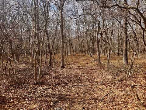 Lot # 108 Cottonwood, Jim Thorpe, PA 18229