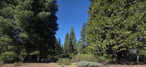 214 Manor Drive, Lake Almanor, CA 96137