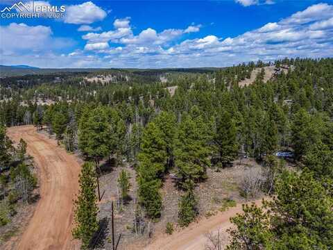 451 Chipeta Creek Trail, Florissant, CO 80816
